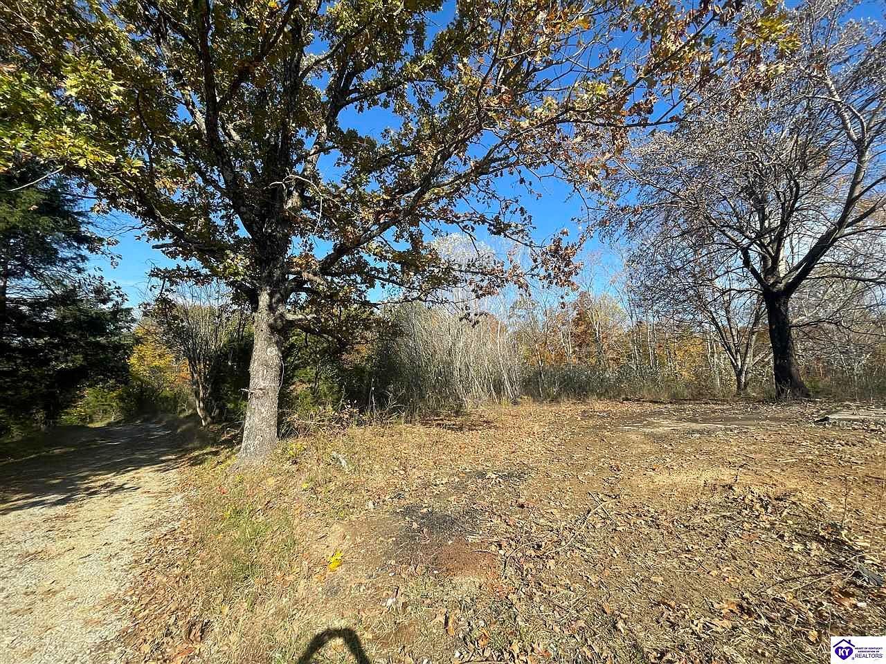 Morgantown Rd Caneyville, KY 42721 - Thumbnail 4