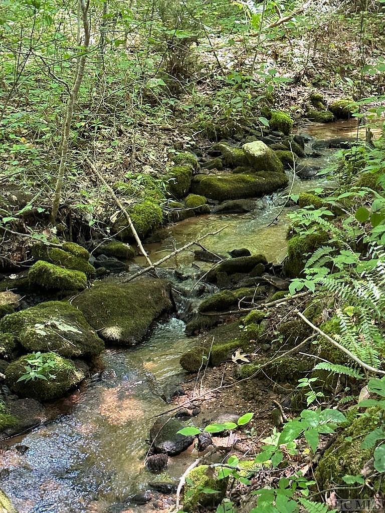 LOT 76 Pasture Rd Glenville, NC 28736 - Thumbnail 4