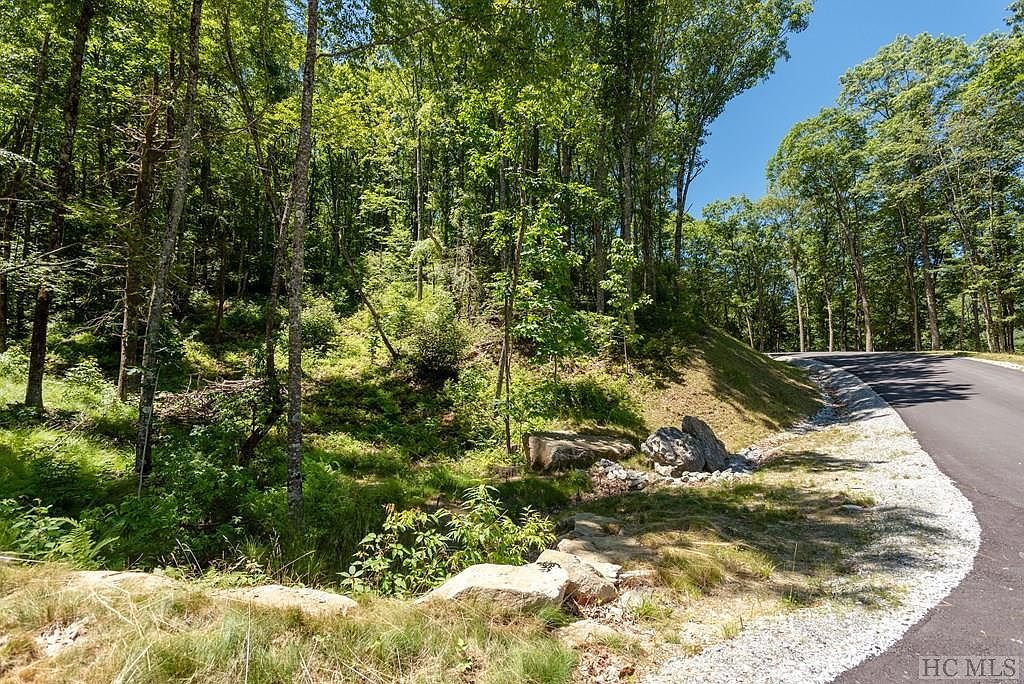 LOT C51 Roaming Rd Glenville, NC 28736 - Thumbnail 4