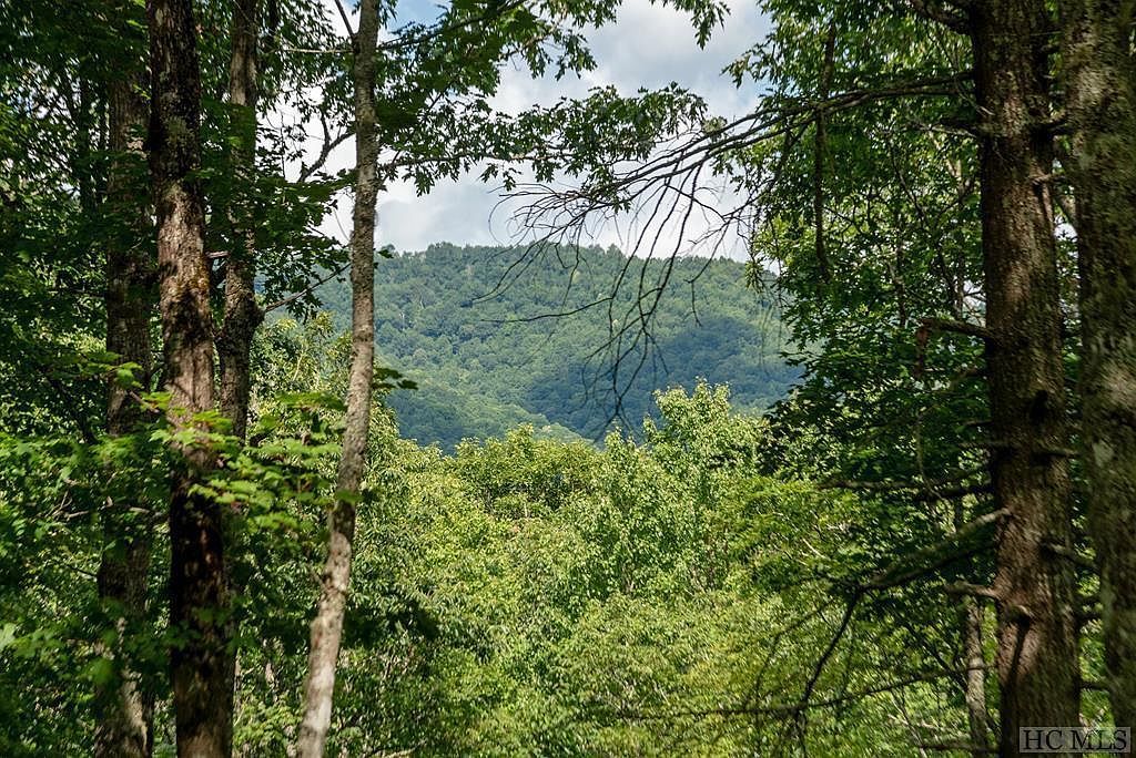 98 Blazing Star Dr Glenville, NC 28736 - Thumbnail 4