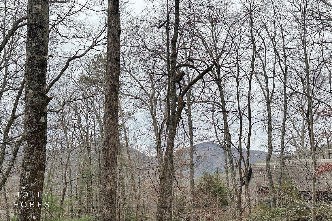 35 Buckberry Dr N Sapphire, NC 28774 - Thumbnail 4