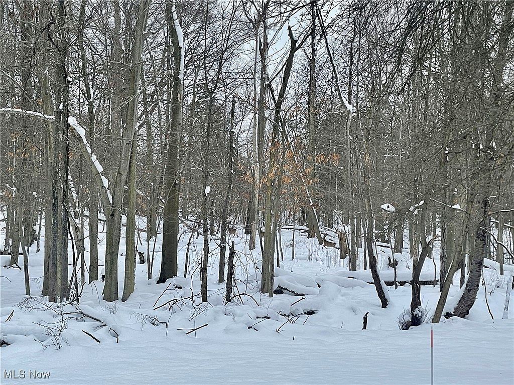 7791 Hoertz Rd, Parma, OH, 44134 - Thumbnail 4