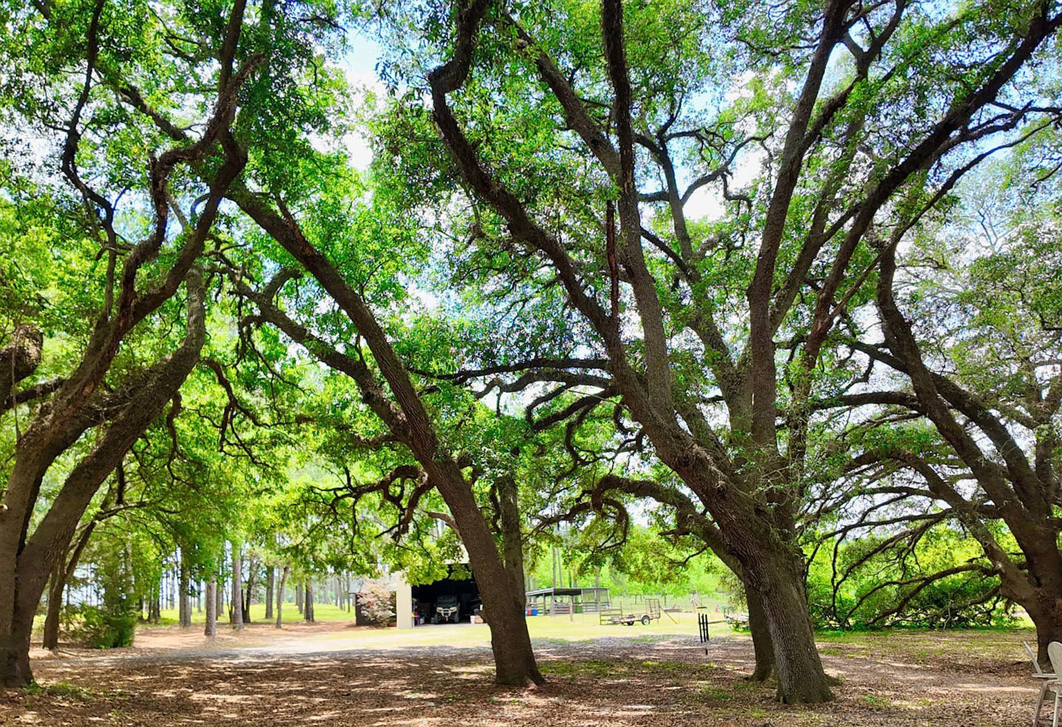 1017 Rowland Rd Boston, GA 31626 - Thumbnail 4