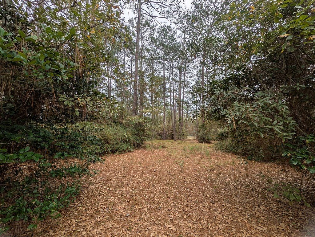 0 Pinewood Pl Thomasville, GA 31792 - Thumbnail 4