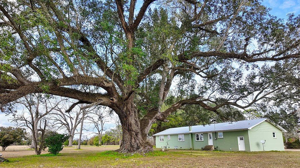 258 Smithtown Rd Bainbridge, GA 39819 - Thumbnail 4