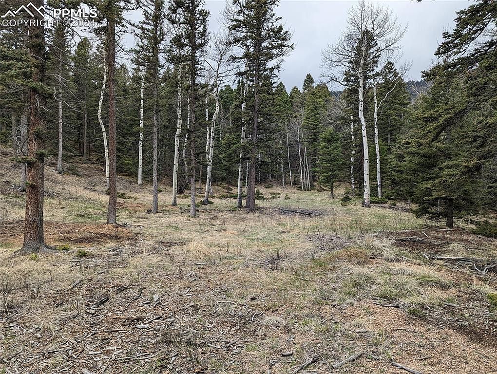 146 Waterfall Rd Manitou Springs, CO 80829 - Thumbnail 4