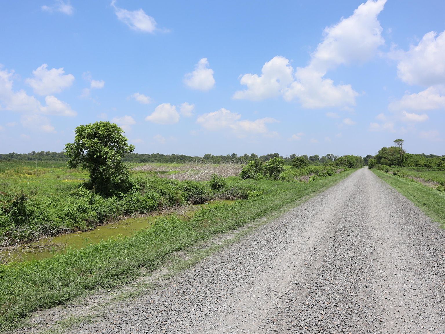 Highway 165 Humnoke, AR 72072 - Thumbnail 4