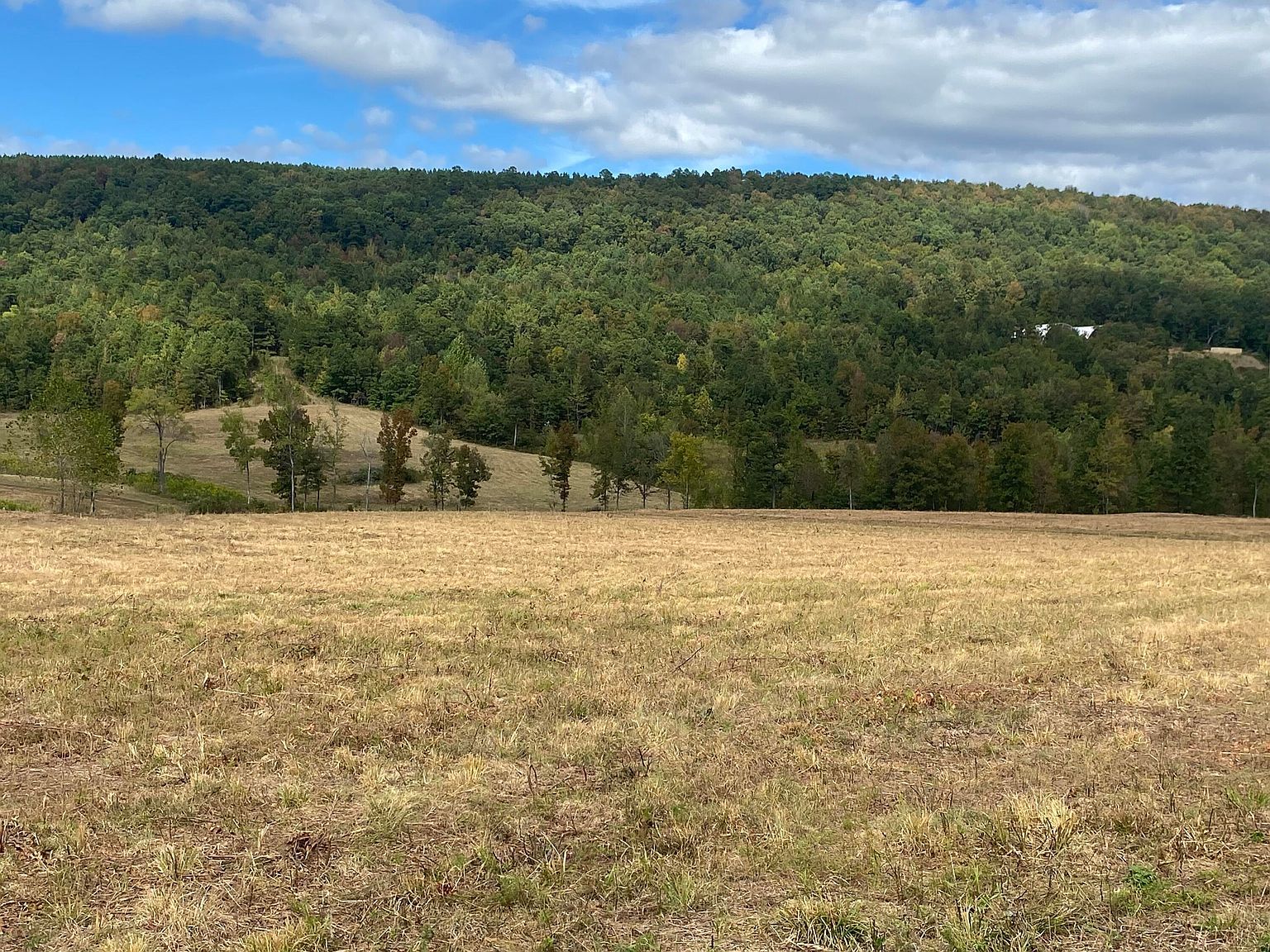 16810 State Route 7 N Dover, AR 72837 - Thumbnail 4