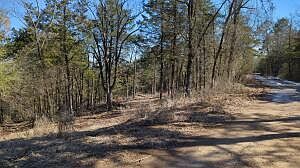 0 Ridge Rd Dardanelle, AR 72834 - Thumbnail 4