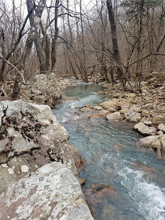 0 Bear Hollow Rd #20 Paris, AR 72855 - Thumbnail 4