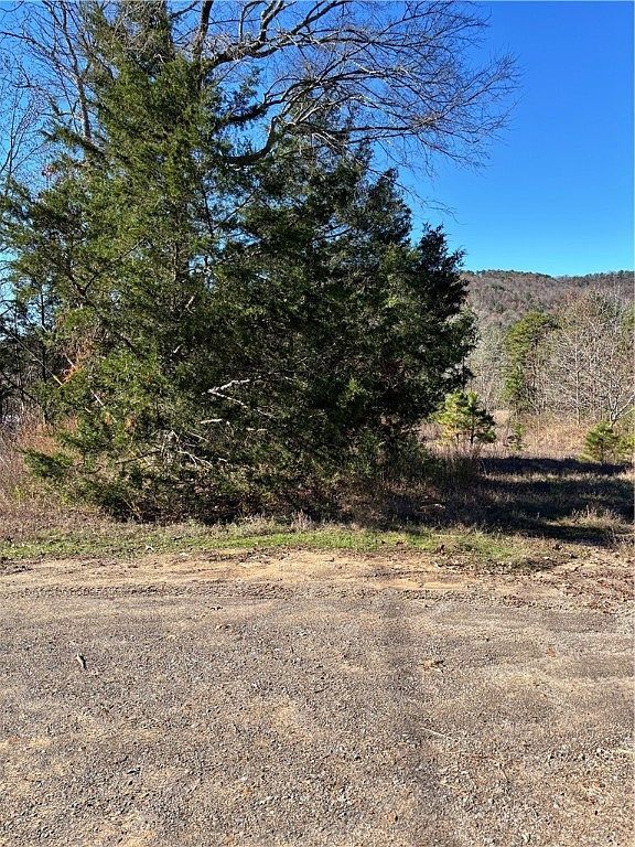 Quicker Still Ln #20 Dover, AR 72837 - Thumbnail 4