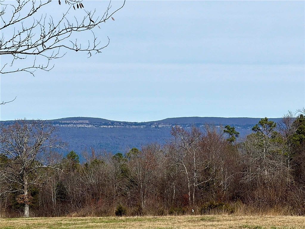 17430 Forest Rd #18 Havana, AR 72842 - Thumbnail 4