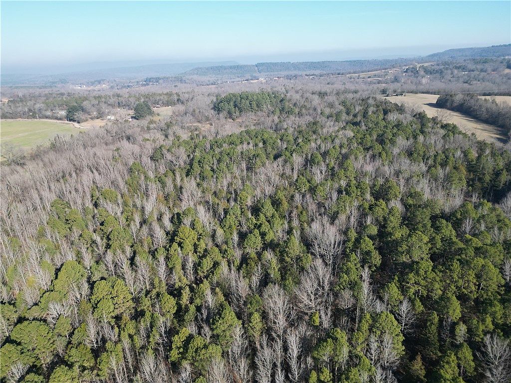 352 Baughman Loop Hattieville, AR 72063 - Thumbnail 4