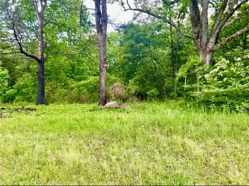 3983 Buck Mountain Rd Dover, AR 72837 - Thumbnail 4
