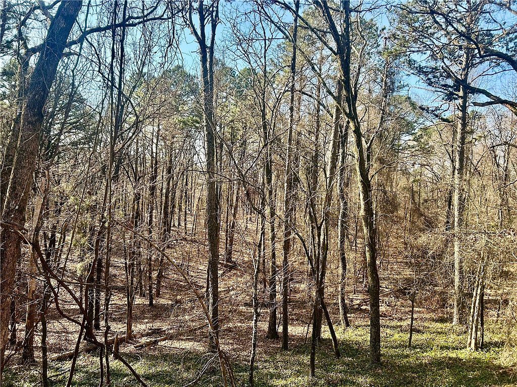 High Point Trl Clarksville, AR 72830 - Thumbnail 4