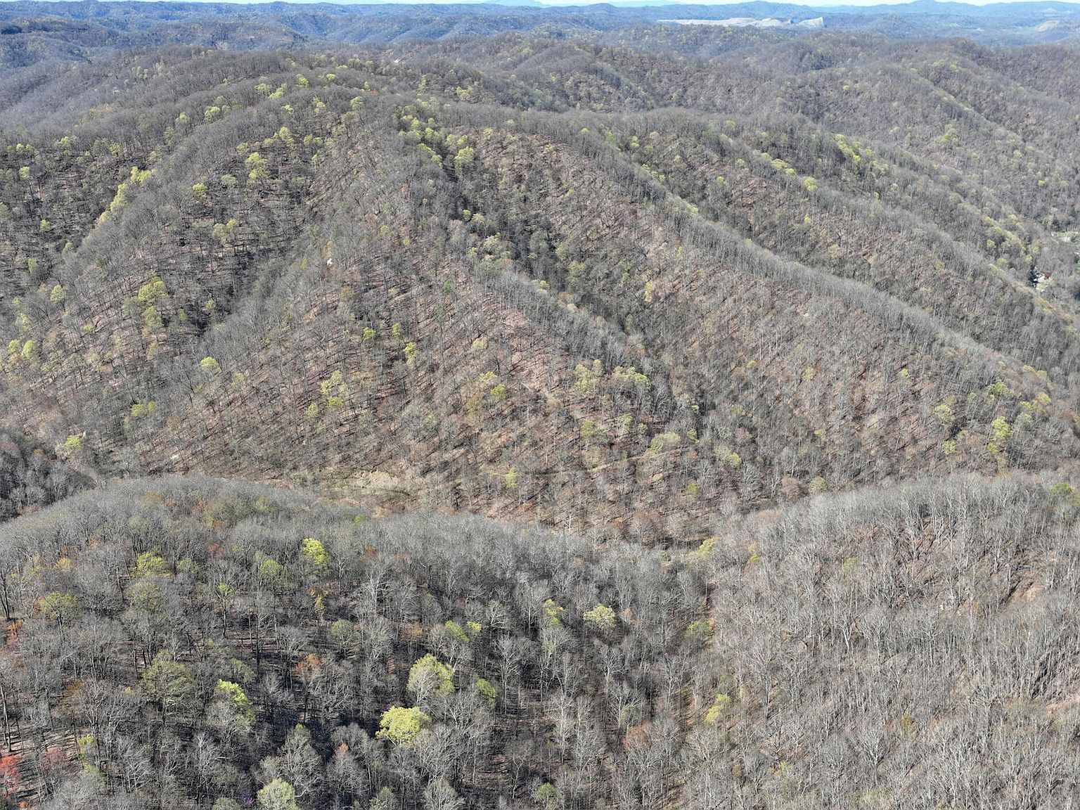 0 Guesses Fork Rd, Hurley, VA, 24620 - Thumbnail 4