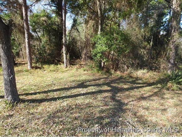 0 Spring Hill Dr LOT 13 Spring Hill, FL 34608  | Land/Lot
