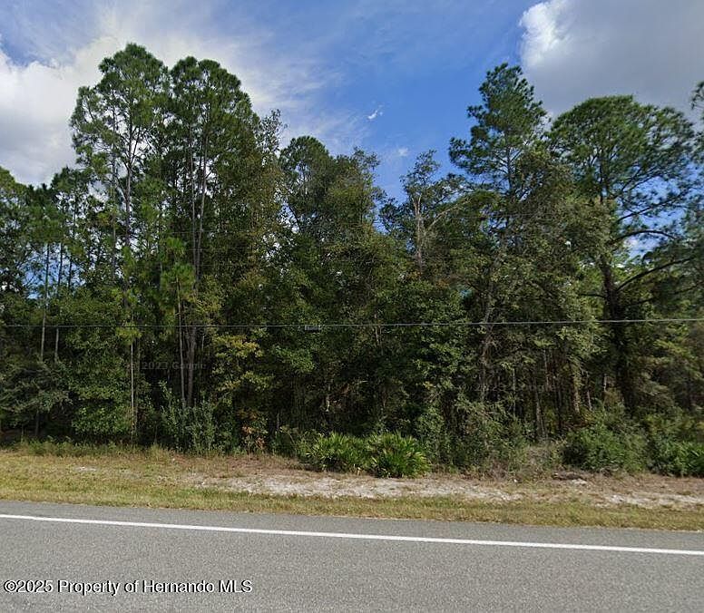 0 Treiman Blvd LOT 15 Webster, FL 33597  | Land/Lot