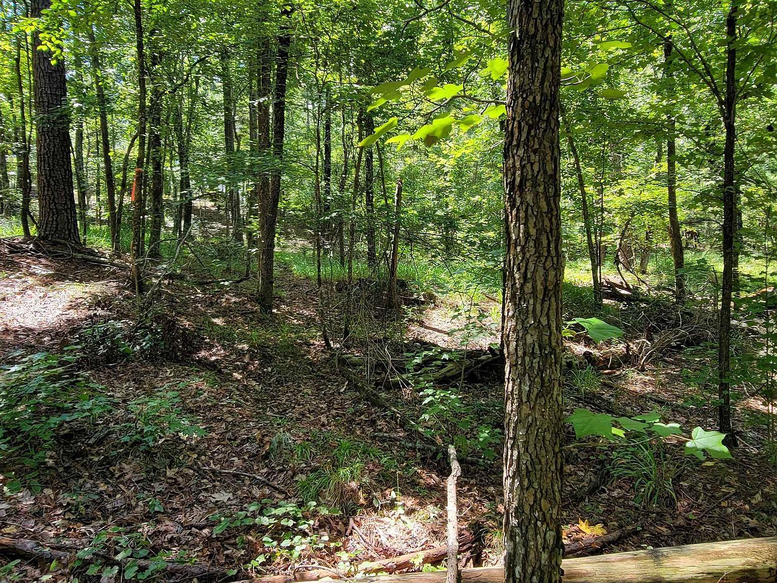 726 Marigold Rd #740 Sparta, GA 31087 - Thumbnail 4