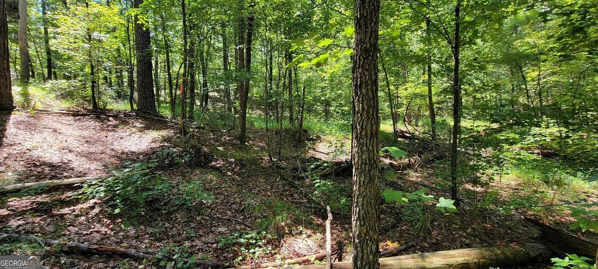 726 Marigold Rd Sparta, GA 31087 - Thumbnail 4