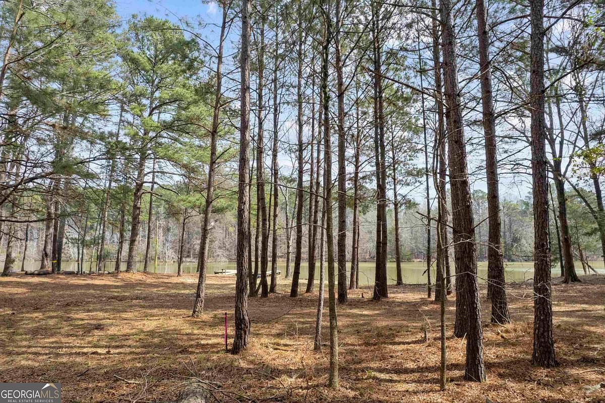 1071 Jacobs Creek Rd Buckhead, GA 30625 - Thumbnail 4