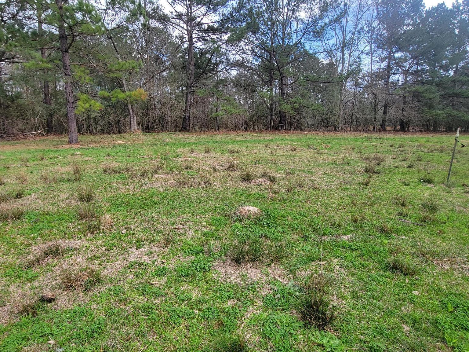 40 Lake Hillsdale Rd Lumberton, MS 39455 - Thumbnail 4