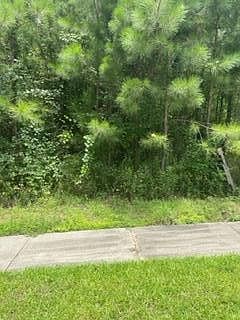 44 Baneberry Trce Hattiesburg, MS 39402 - Thumbnail 4