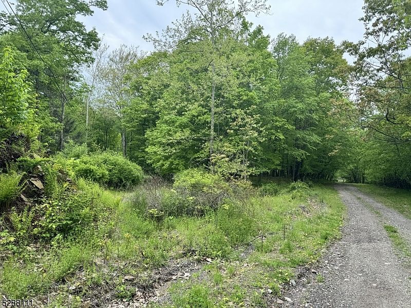 11 Twin Brook Dr Montague, NJ 07827 - Thumbnail 4