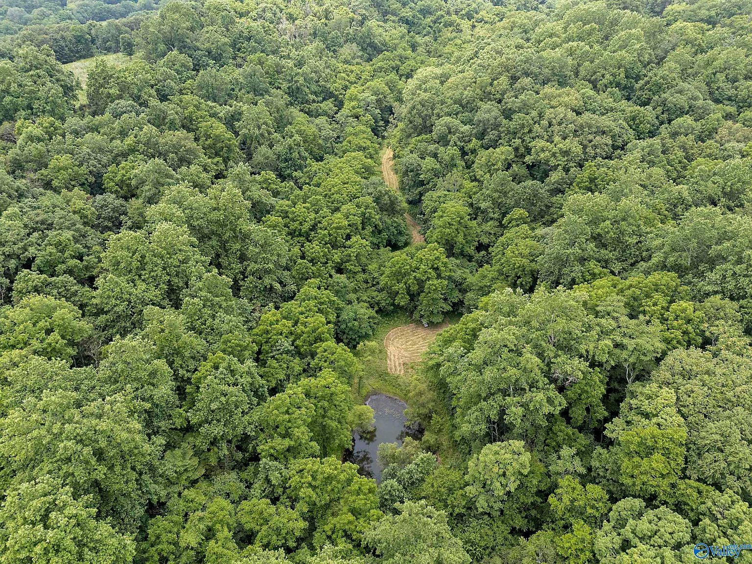 55 Thompson Hollow Rd Taft, TN 38488 - Thumbnail 4