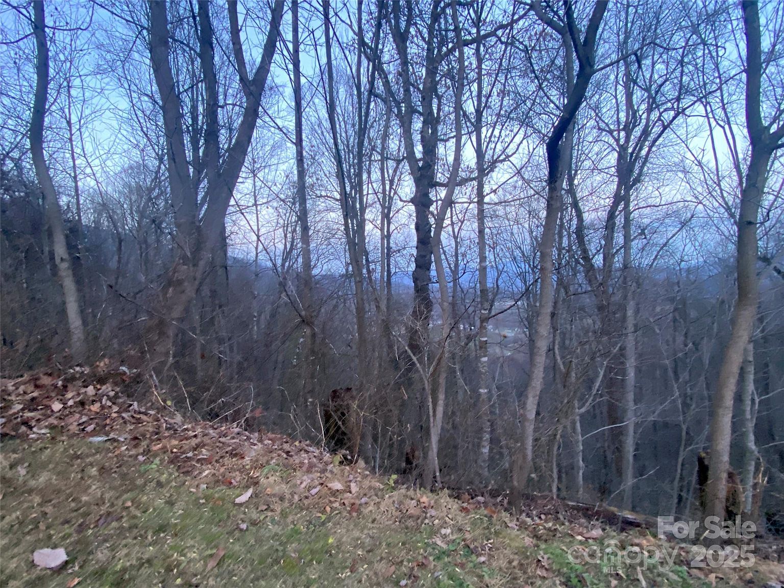 0 Asa Trl Waynesville, NC 28785 - Thumbnail 4