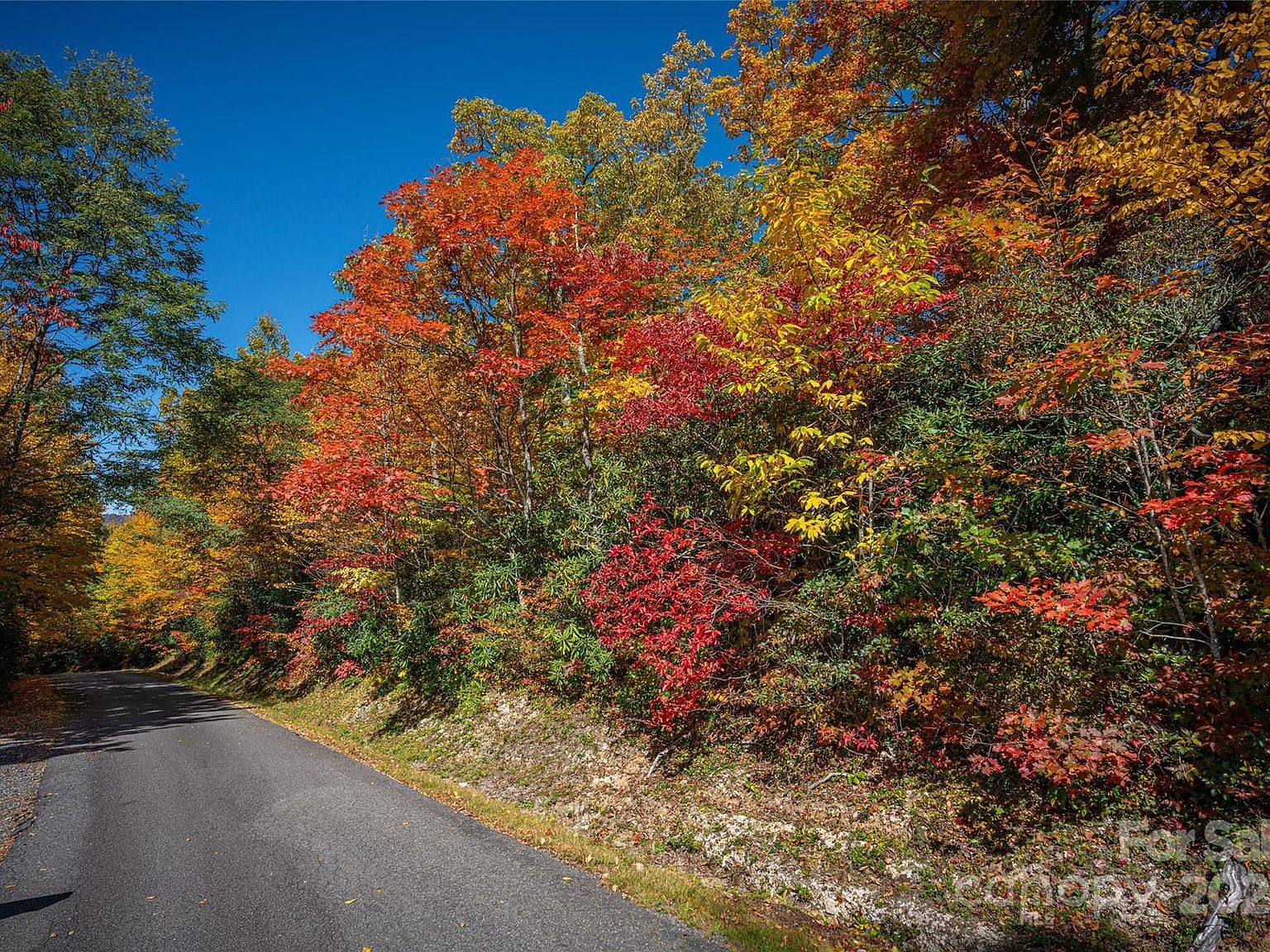 205 Chickadee Ln #205 Maggie Valley, NC 28751 - Thumbnail 4