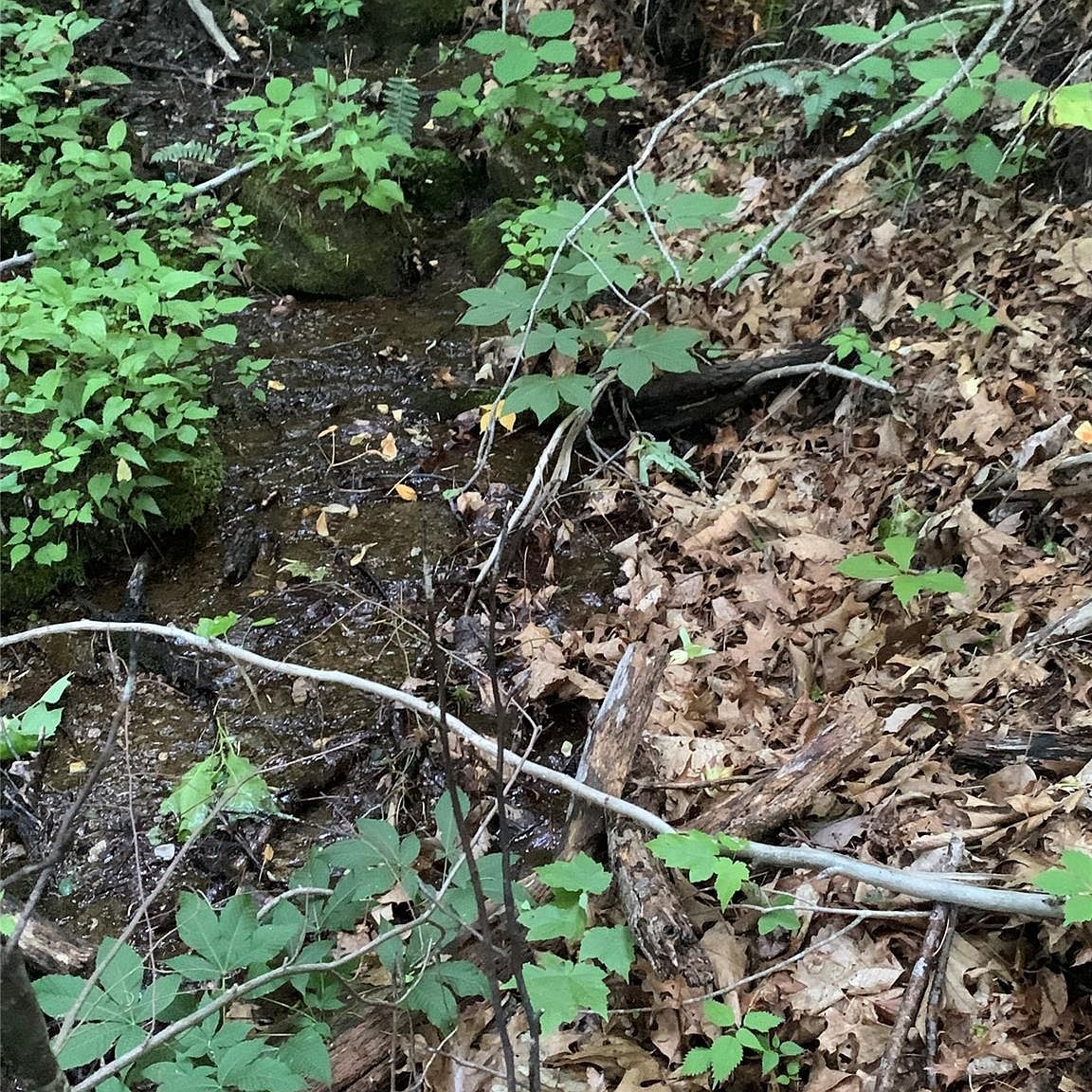 5 Friar Tuck Ln #5 Maggie Valley, NC 28751 - Thumbnail 4