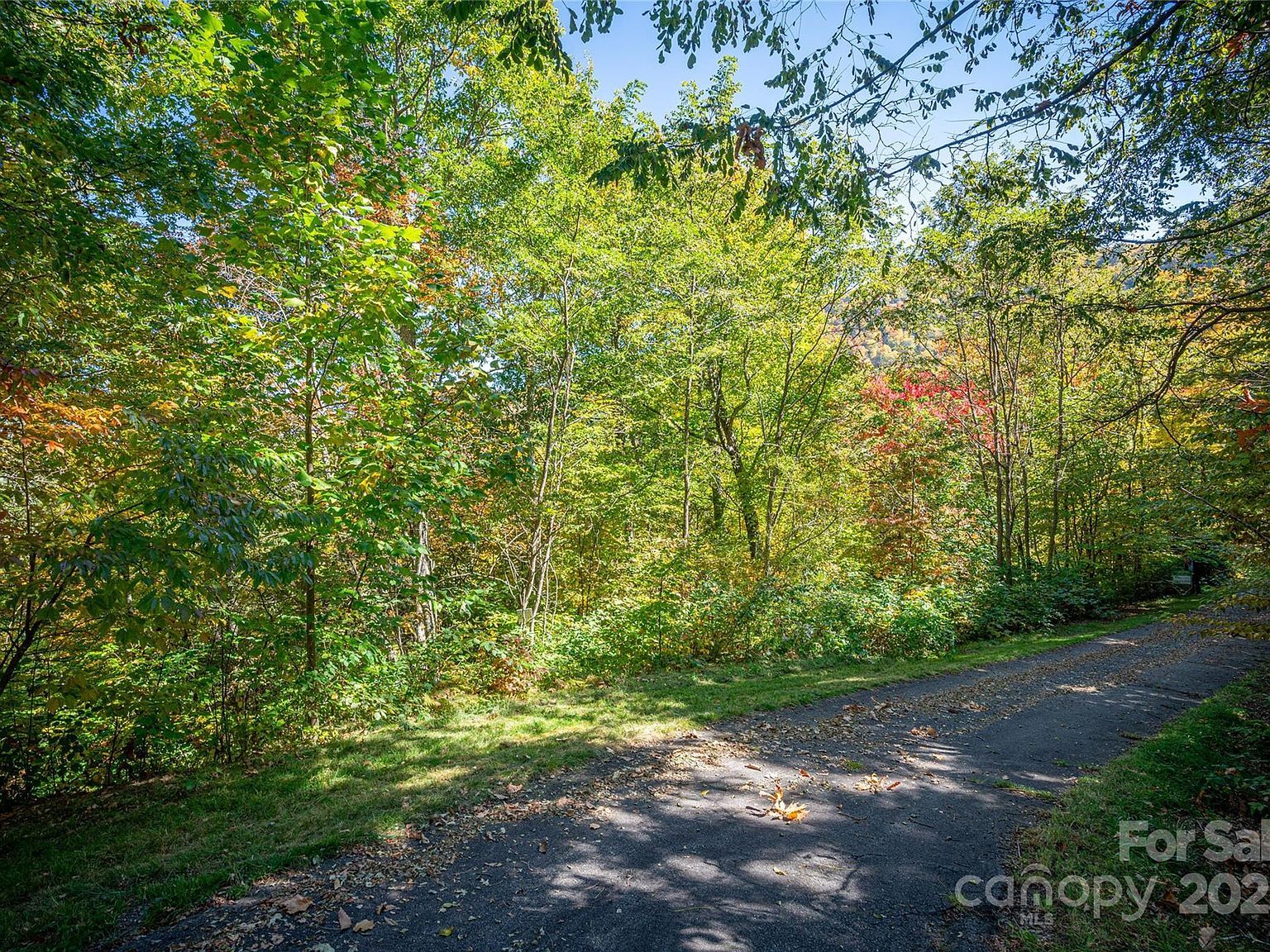 202 Nuthatch Ln #&-203 Maggie Valley, NC 28751 - Thumbnail 4