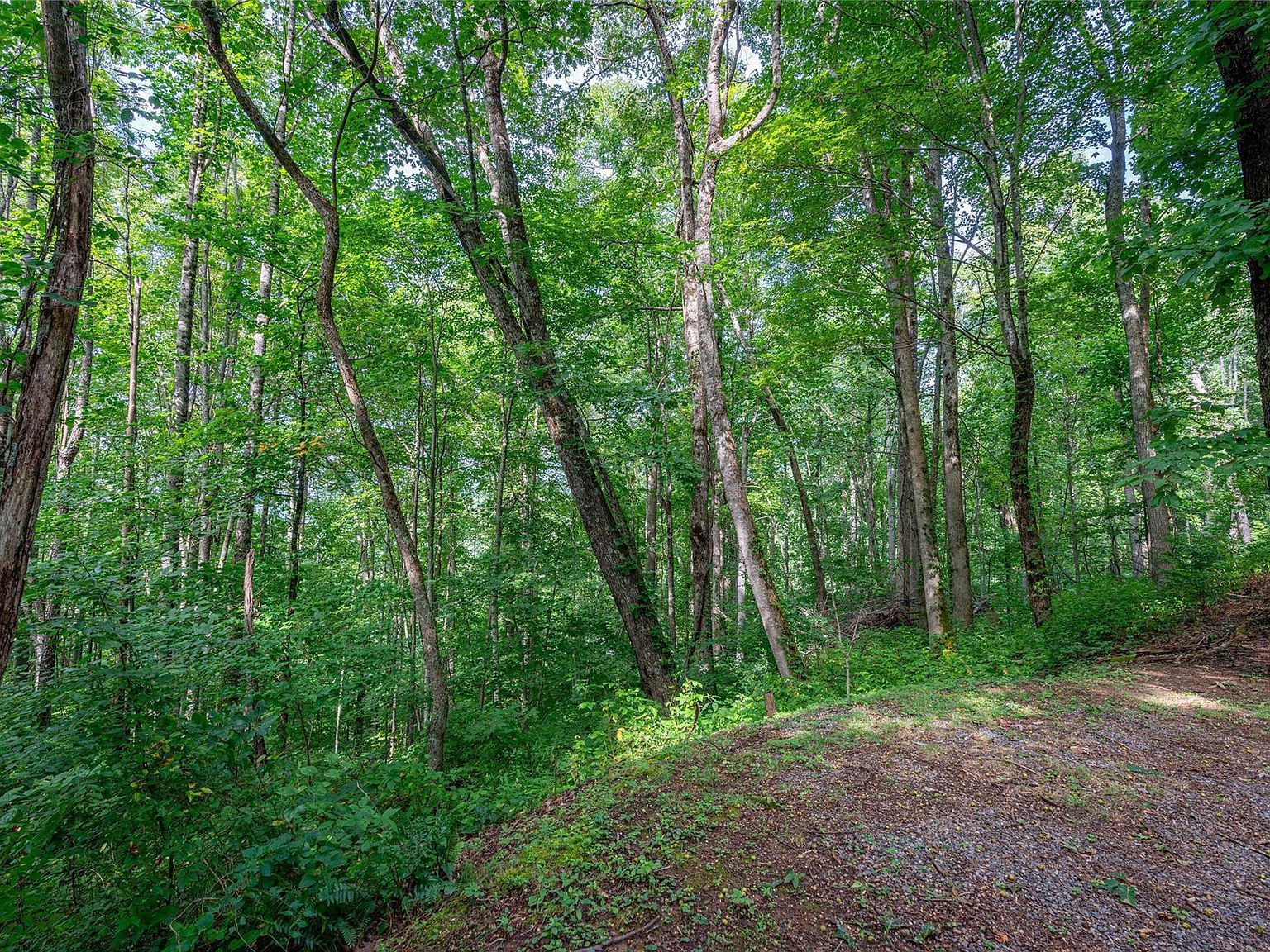 8 Resurrection Ln Sylva, NC 28779 - Thumbnail 4