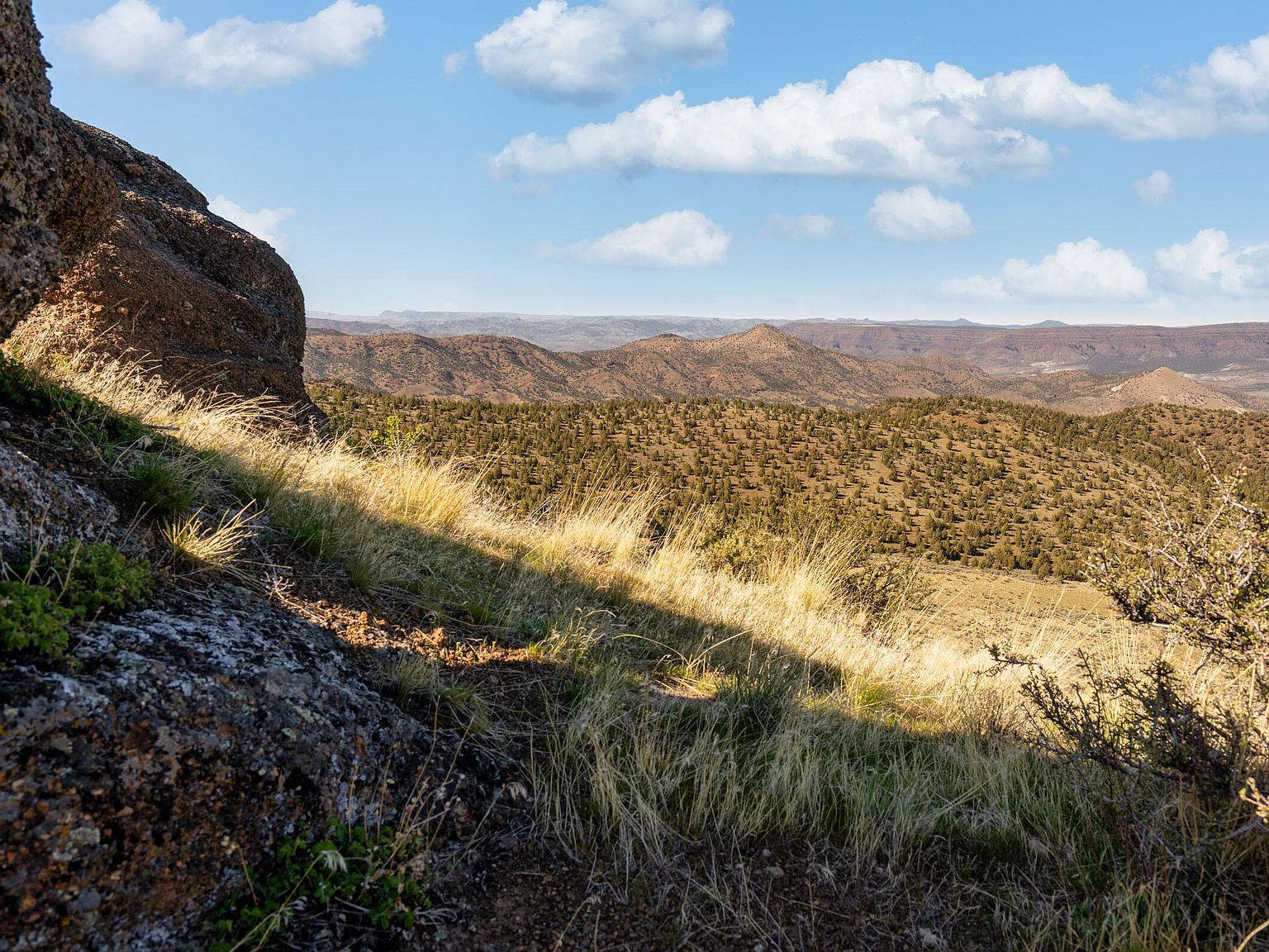 1755 Lost Coyote Ln Mitchell, OR 97750 - Thumbnail 4