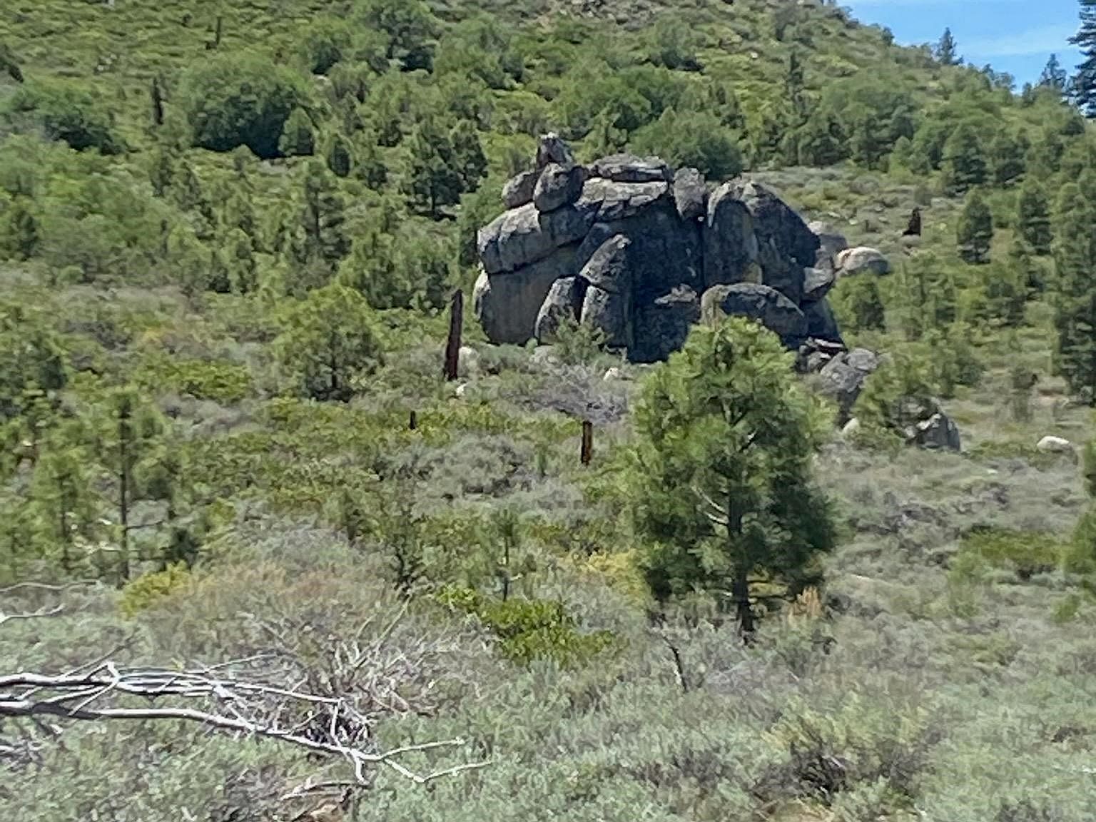 Doyle Grade Chilcoot, CA 96105 - Thumbnail 4