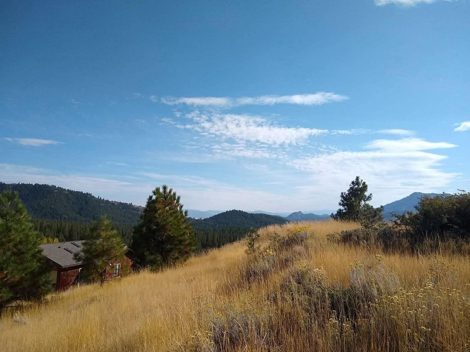 3484 Grizzly Rd Portola, CA 96122 - Thumbnail 4