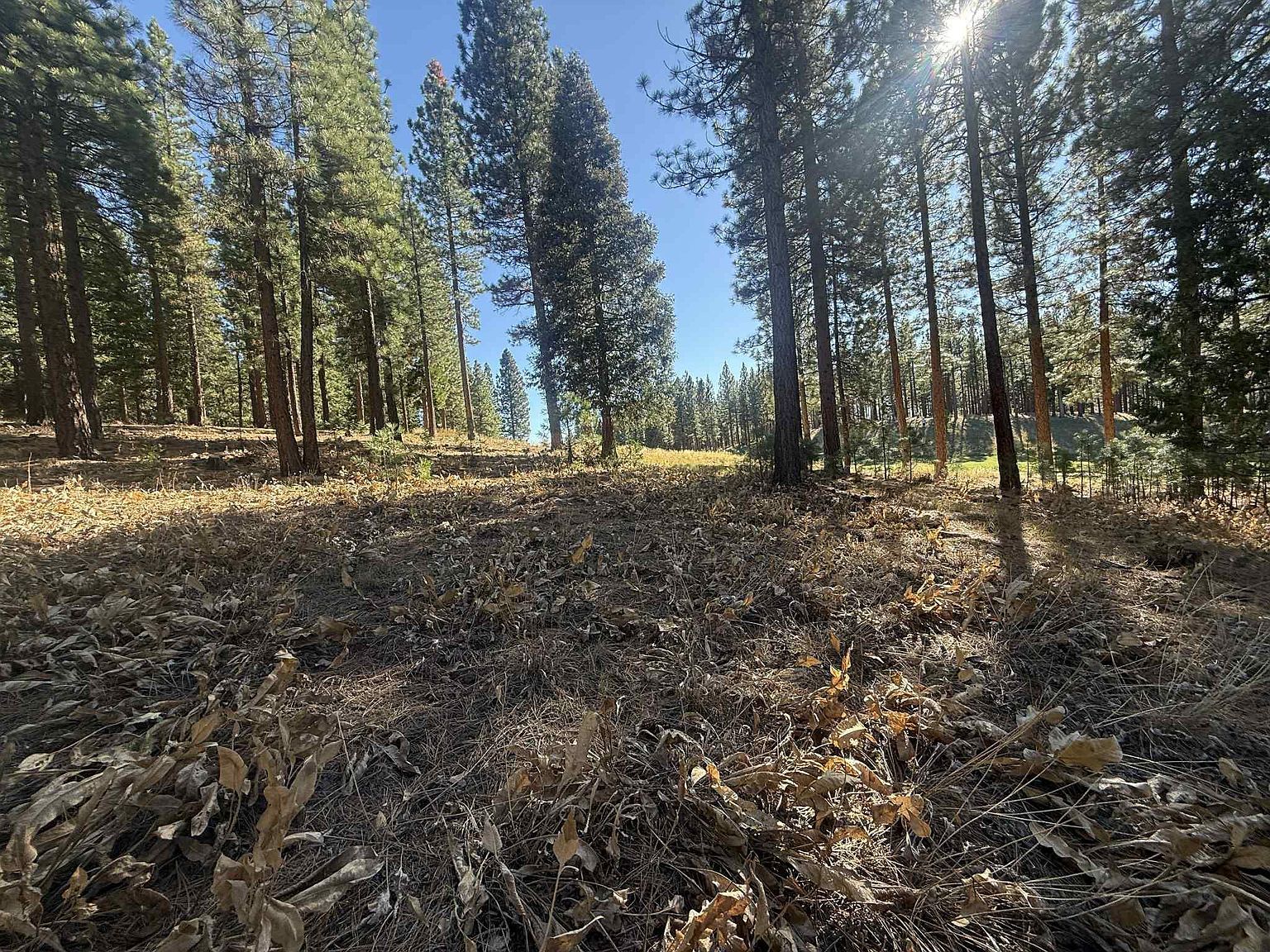 211 Bird Of Prey Ln Portola, CA 96122 - Thumbnail 4