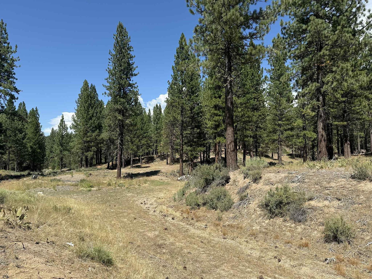 1359 Valley Ranch Dr Clio, CA 96106 - Thumbnail 4