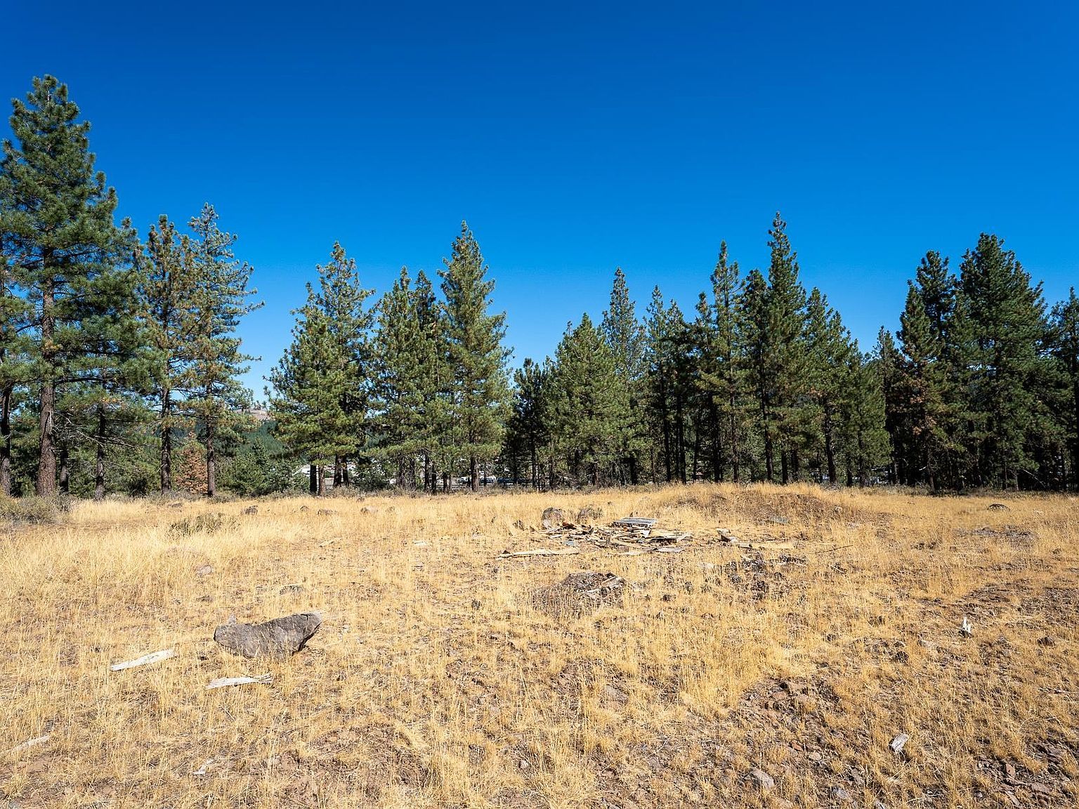 212 Otter Way Portola, CA 96122 - Thumbnail 4