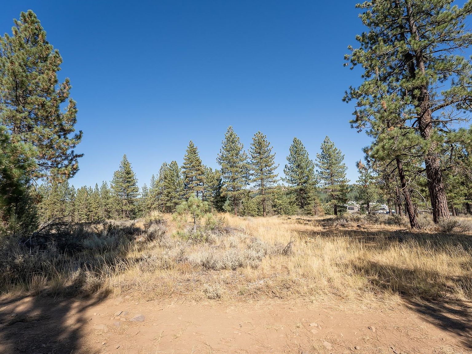 202 Otter Way Portola, CA 96122 - Thumbnail 4