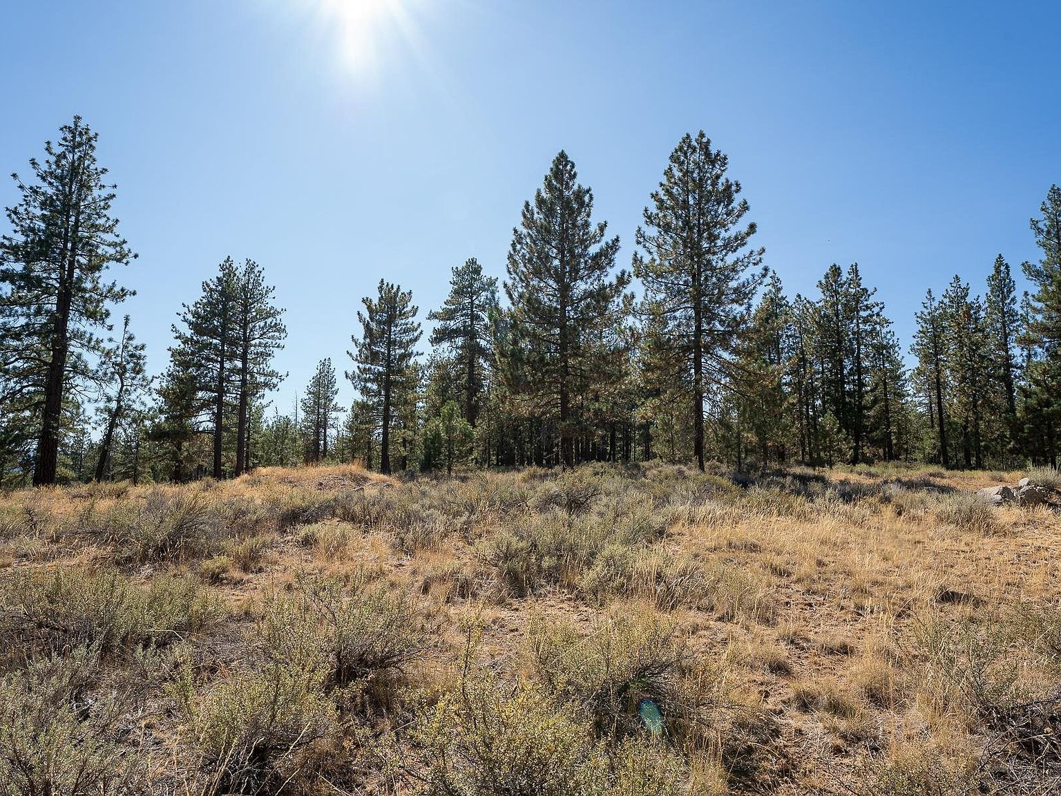 152 Otter Way Portola, CA 96122 - Thumbnail 4