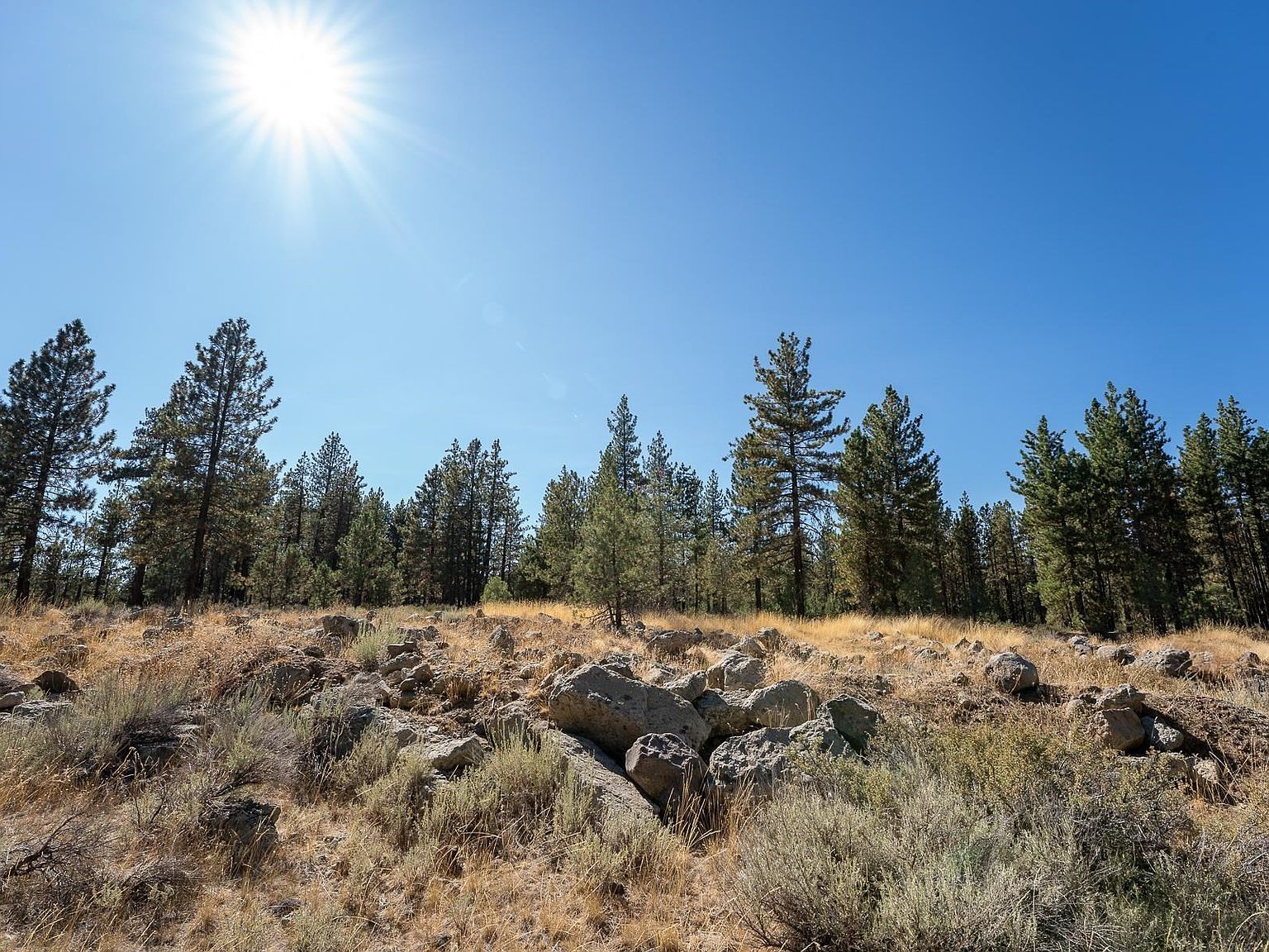 550 2nd St Portola, CA 96122 - Thumbnail 4