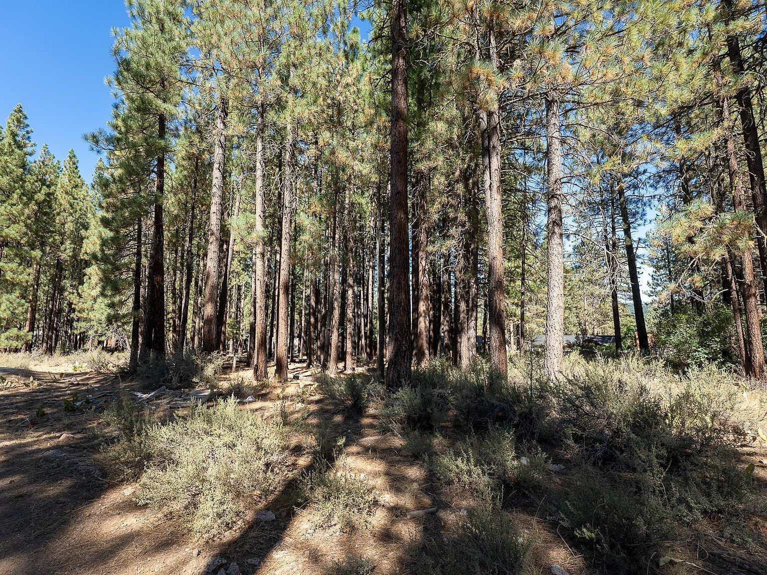 149 Otter Way Portola, CA 96122 - Thumbnail 4