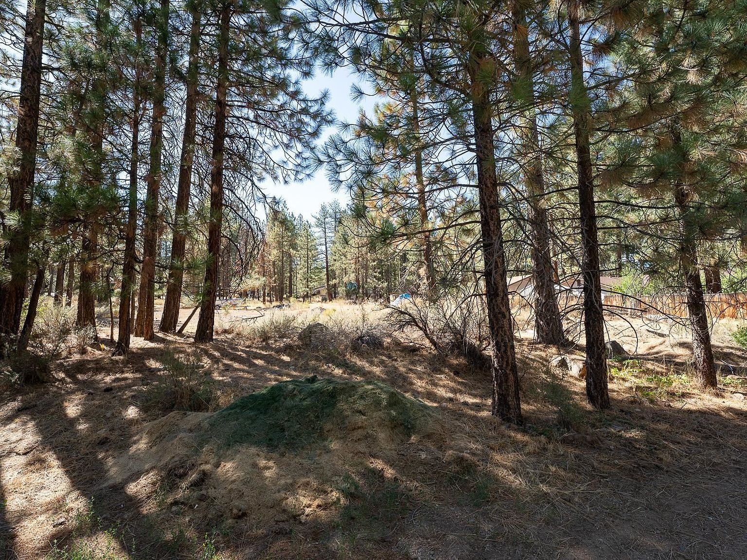 613 3rd St Portola, CA 96122 - Thumbnail 4