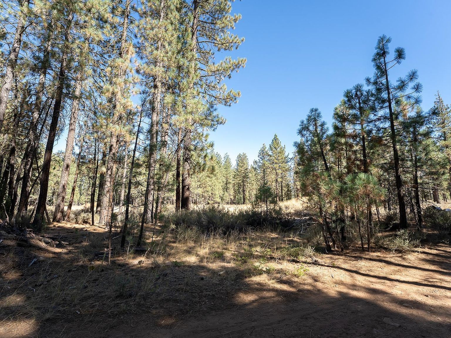 240 Bear Way Portola, CA 96122 - Thumbnail 4