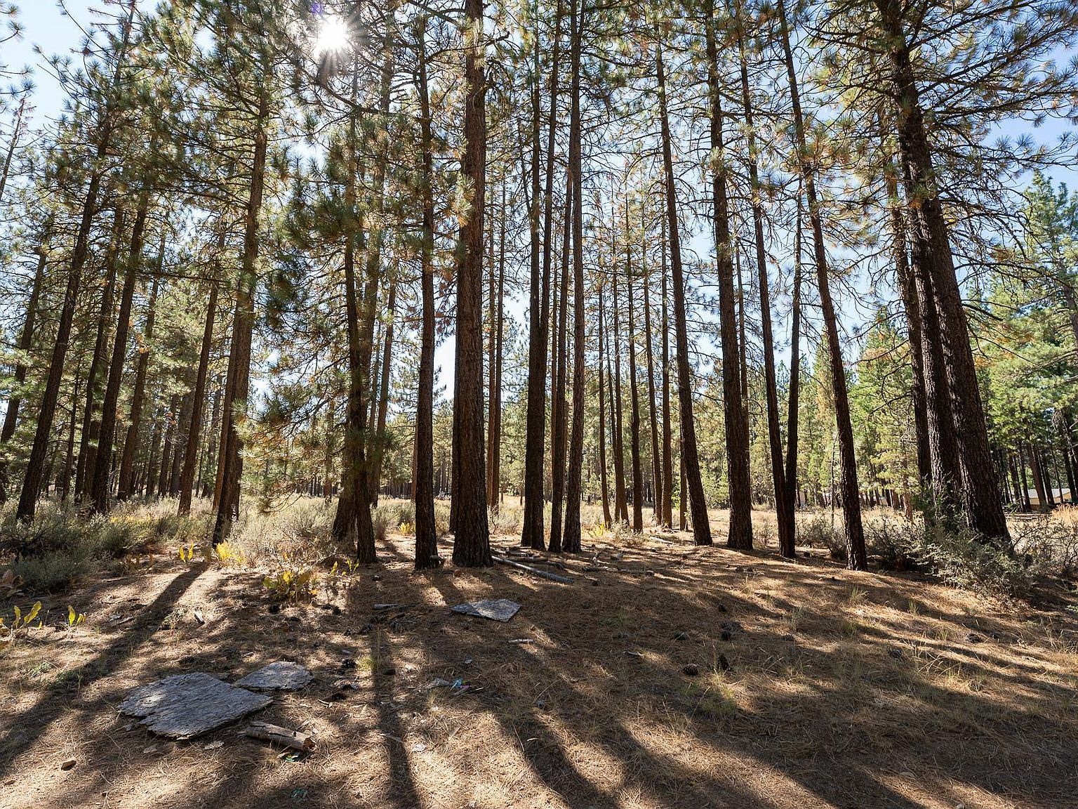 222 Bear Way Portola, CA 96122 - Thumbnail 4