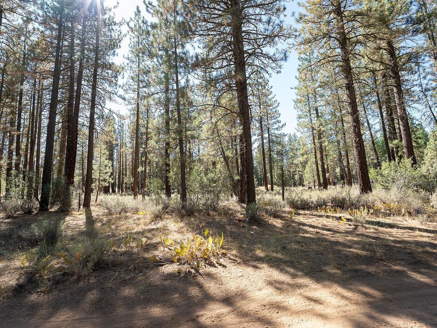 225 Cougar Way Portola, CA 96122 - Thumbnail 4