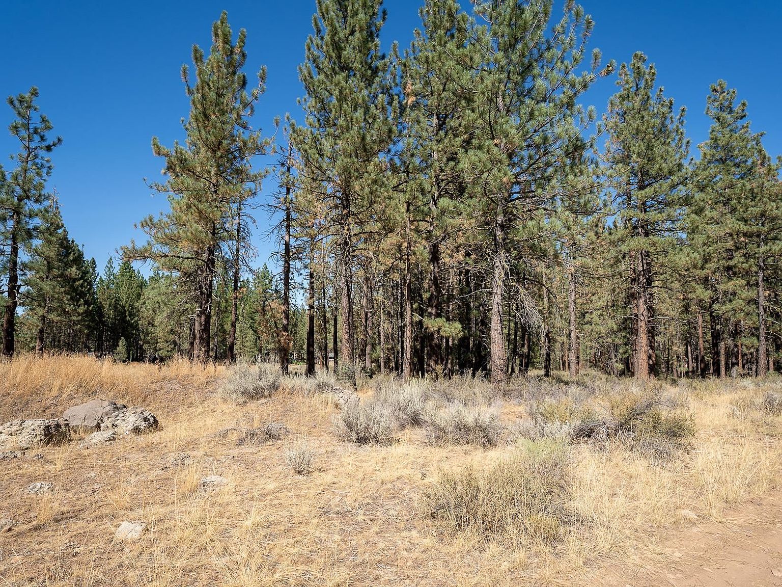 215 Cougar Way Portola, CA 96122 - Thumbnail 4