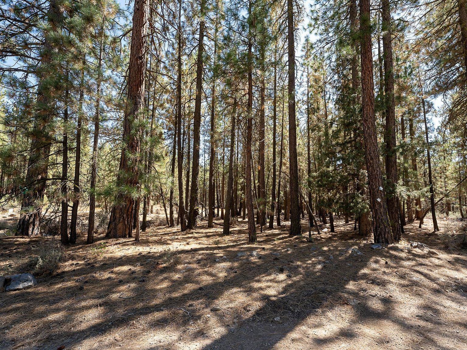 900 3rd St Portola, CA 96122 - Thumbnail 4